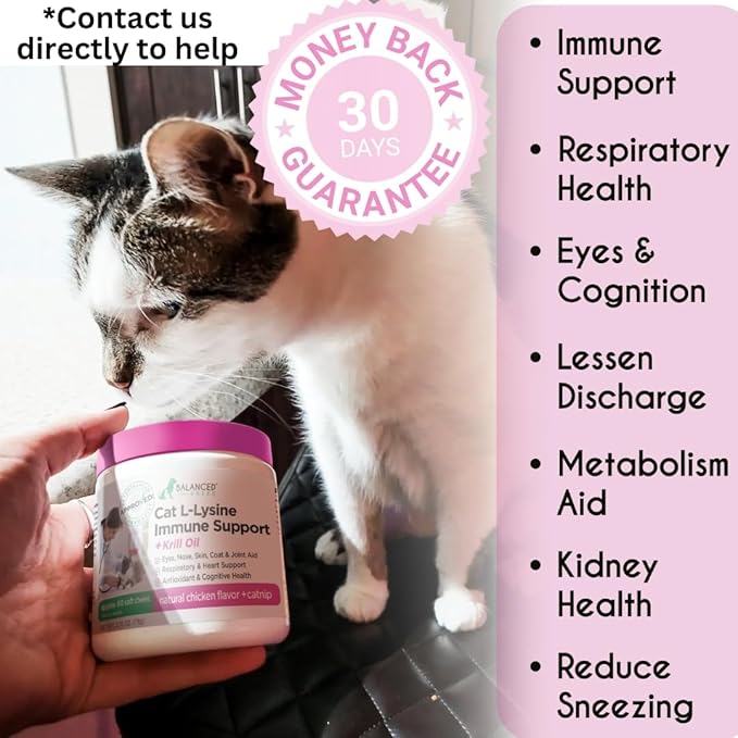 Balanced Breed L-Lysine Cats Immune Support Soft Chews Made in USA Vet-Pharmacist Approved Seasonal Allergy Relief Cat Vitamins Indoor Cats Supplements Krill Oil Asthma Relief Cat Lysine Treats NonGMO-PawvioPets