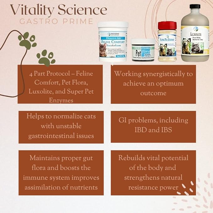 Gastro Prime Combo for Cats | Supports Normal GI Function and Improves Nutrient Assimilation-PawvioPets