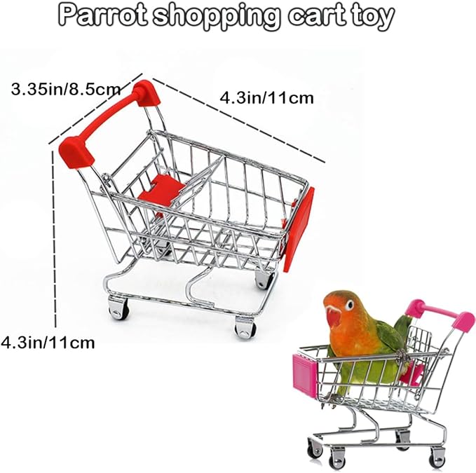 6pcs Interactive Puzzle Toy Set for Small Parrots - Training, Stress Relief, Include Coin Box, Bell Ball, Skateboard & Ferrule Toy for Bird Budgies, Cockatiels, Parakeet etc-PawvioPets