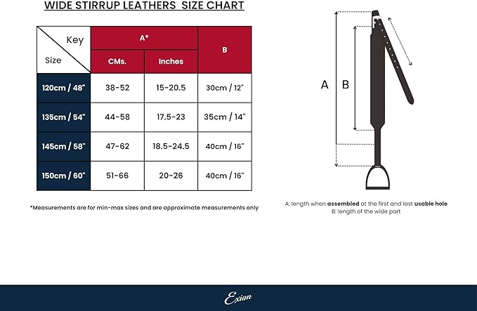 Exion Wide Stability Stirrup Leathers for English Saddles | Premium Cowhide Leather | Enhanced Leg Stability & Comfort | Sizes: 48" to 62"-PawvioPets