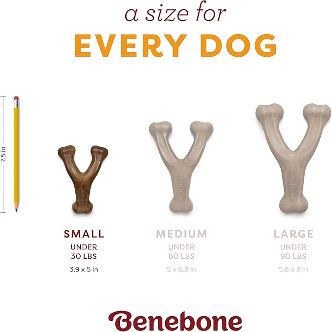Benebone Pumpkin Spice Wishbone – Limited Edition Flavor, Durable Dog Chew Toy for Aggressive Chewers, Made in USA, Small-PawvioPets