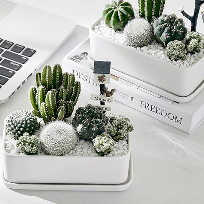 3lb White Cactus Pea Gravel Rocks,1/4 Inch Pebbles for Indoor Plants, Natural Succulent Rock and River Rocks Decorative for Aquariums, Vases, Outdoor Gardening, Top Dressing for Potted Plants-PawvioPets