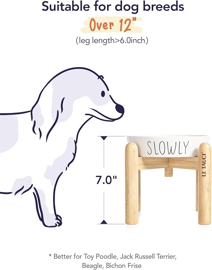 Ceramic Slow Feeder Dog Bowls Elevated for Small and Medium Breed with Wooden Stand, 1.5 Cups Dog Dishes to Slow Down Eating, Anti-Gulping Pet Feeding Dishes,White-PawvioPets