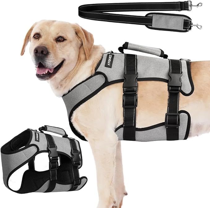 Ayquez Dog Lift Harness with Storage and Transport Bag, Dog Harness with Handle for Lifting & Hip dysplasia, arnés para Perros pequeños, pechera para Perros (Gray, M)-PawvioPets