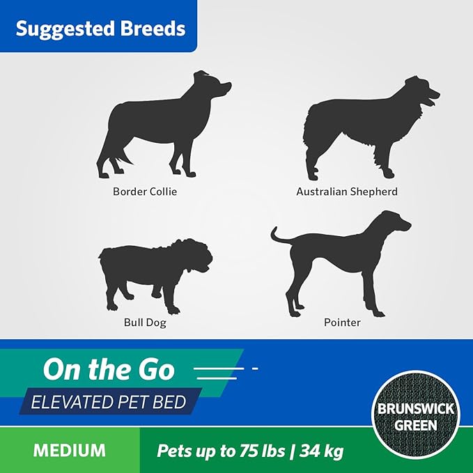 Coolaroo On-The-Go Elevated Dog Bed - Foldable Pop-Up Travel Dog Bed with Breathable, Moisture-Resistant Fabric, Carry Bag Included, Lightweight & Portable, Brunswick Green, Medium-PawvioPets