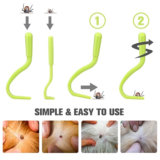 Cat & Dog Grooming Set - Fine Tooth Comb For Grooming And Removing Dandruff Flakes Remove Float Hair Tear Marks (green)-PawvioPets