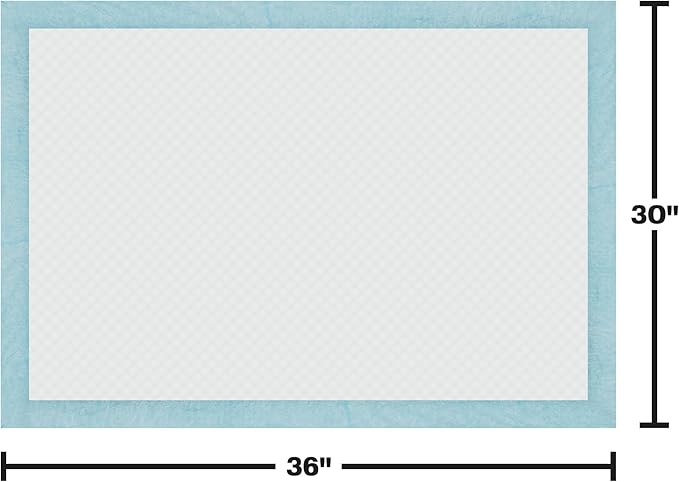 BV XXL Puppy Pads 40 Count 30" x 36" - Leak-Proof Pee Pads for Dogs with 6-Layer Design, Rapid Dry Sheet & Attractant - Dog Pad Extra Large with Odor Control - Perfect for Big Dogs & Indoor Use-PawvioPets