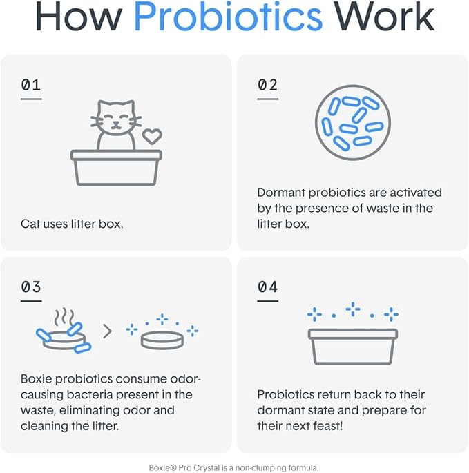 Boxie® Probiotic 40 Day Natural Odor Control Cat Litter, 16lb Clumping Clay Kitty Litter (Pack of 2)-PawvioPets