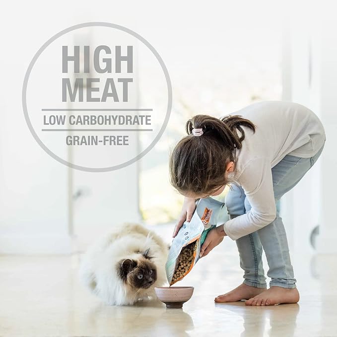 Feline Natural High Protein Dry Cat Food, Freeze-Dried Diet with 98% Meat, Organs & Seafood, No Peas, Grains, or Artificial Additives, Made in New Zealand, Chicken & Lamb, 3.5oz-PawvioPets