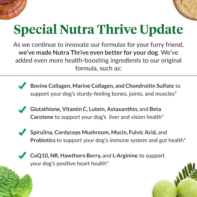Ultimate Pet Nutrition Nutra Thrive Canine, 40-in-1 Nutritional Powder Supplement for Dogs with Digestion and Immune Support, Vitamins, Minerals, Probiotics, Enzymes, 30 Scoops-PawvioPets