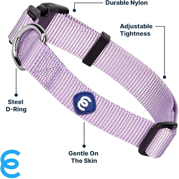 Blueberry Pet Essentials Small Dog Collar | Girl Dog Collars Fall | Female Dog Collar Small | Lavender Dog Collars for Small Dogs | Quick Release Dog Collar | Lavender Nylon Dog Collar-PawvioPets