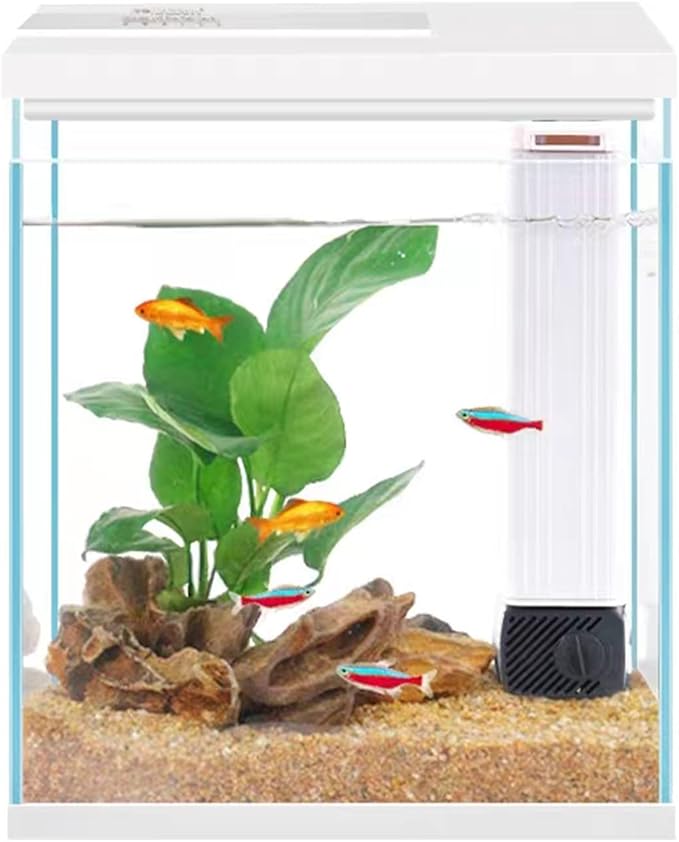 Betta Fish Tank, 2 Gallon Glass Aquarium Starter Kit, Small Fish Tank with Filter and Light.-PawvioPets