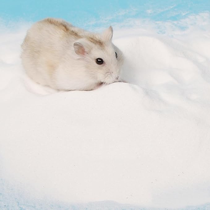 DR.DUDU Hamster Bath Sand, 12lb Dust Free Desert Sand or Potty Litter Sand for Hamster Chinchillas Gerbil Syrian Mice Small Animals (White)-PawvioPets