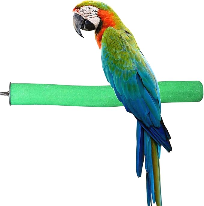 Bird Perch Rough-surfaced Nature Wood Stand Toy Branch for Parrots-PawvioPets