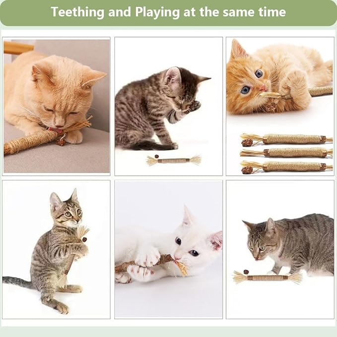 3 PCS Silvervine Sticks for Cats - Natural Cat Chew Toys for Teeth Cleaning, Kitten Teething & Aggressive Chewers-PawvioPets