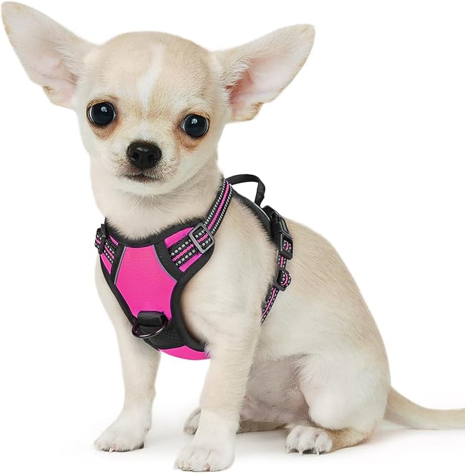 Eagloo Small Dog Harness No Pull, Service Vest with Reflective Strips and Control Handle, Adjustable and Comfortable for Easy Walking, No Choke Pet Harness with 2 Metal Rings, Rose Red, XS-PawvioPets