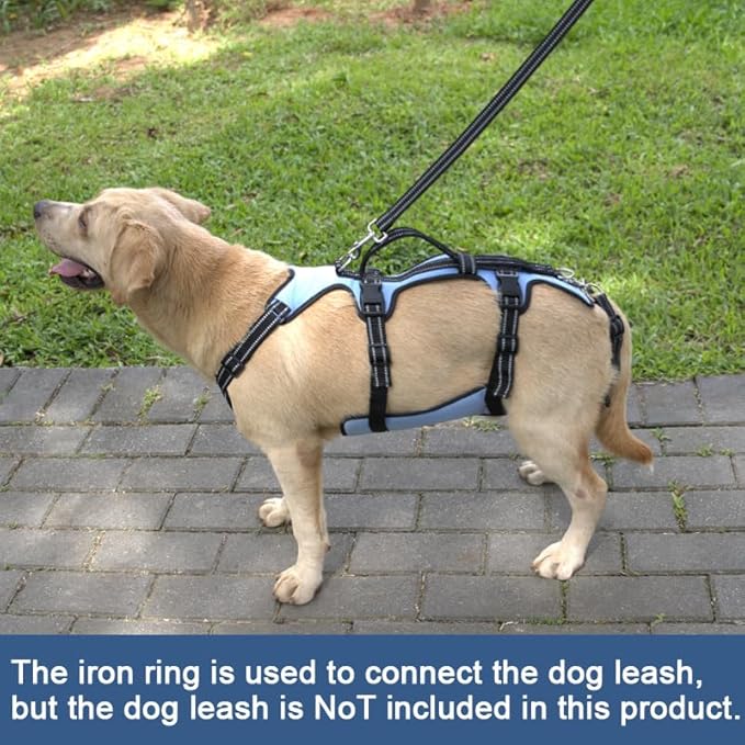 Coodeo Dog Lift Harness, Full Body Support & Recovery Sling, Pet Rehabilitation Lifts Vest for Old Dog with Arthritis Walk(Bule,L)-PawvioPets