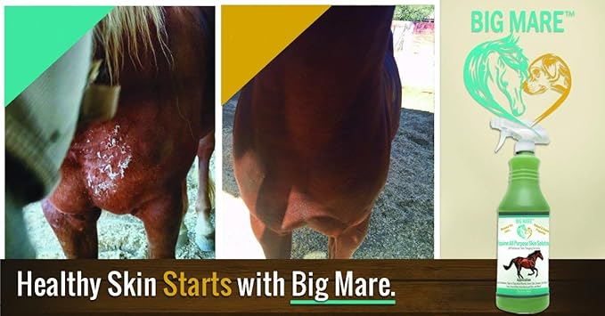 All Purpose Horse Skin & Wound Care 32oz | First Aid: for Girth Itch, Insect & Fly Bites, Crud, Itchy Manes & Tails & Hair Loss | Vet Approved & Recommended-PawvioPets