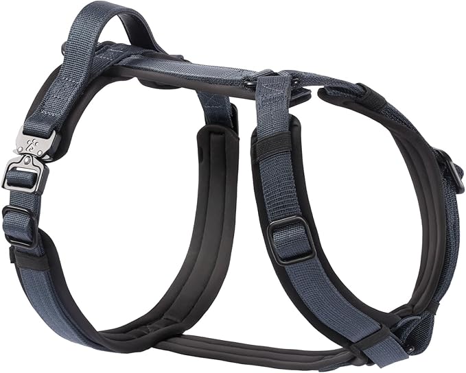 CLEPAWS Dog Harness for Small Dogs, No Pull Dog Harness Easy Walk with Metal Hardware, Ergonomic Y-Shaped Design, Soft Padding, Padded Handle, Durable High-Tensile Nylon (Nightfall, S)-PawvioPets