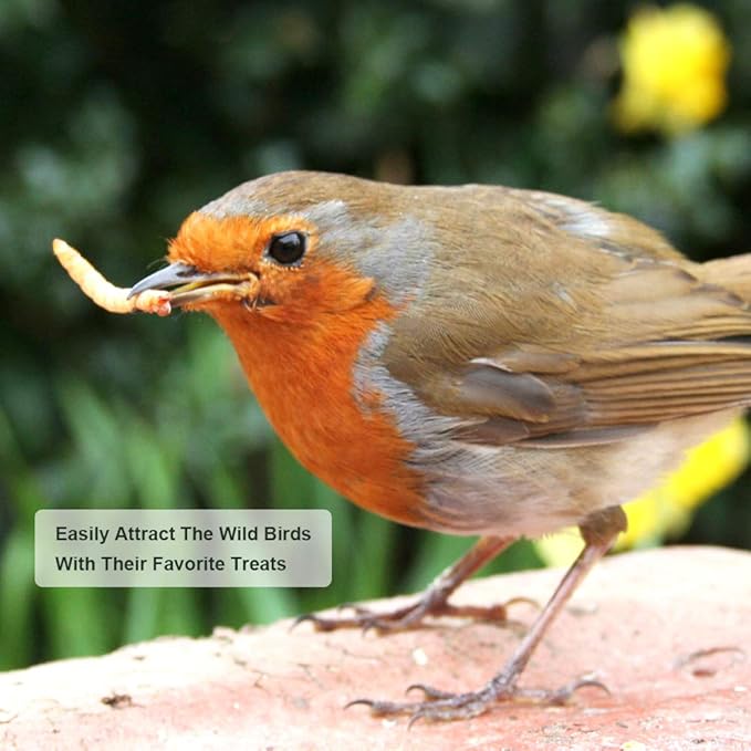 20lbs Mealworms, High-Protein Dried Mealworms for Birds, Chickens, Turtles, Fish, Hamsters and Hedgehogs, Non-GMO and Chemical Free, All Natural Animal Feed-PawvioPets