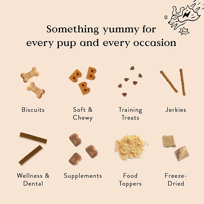 Bocce’s Bakery Dailies Brushy Sticks to Support Oral Health & Fresh Breath, Wheat-Free Dental Bars for Dogs, Made with Real Ingredients, Baked in the USA, All-Natural Coconut & Mint Recipe, Small Dogs-PawvioPets