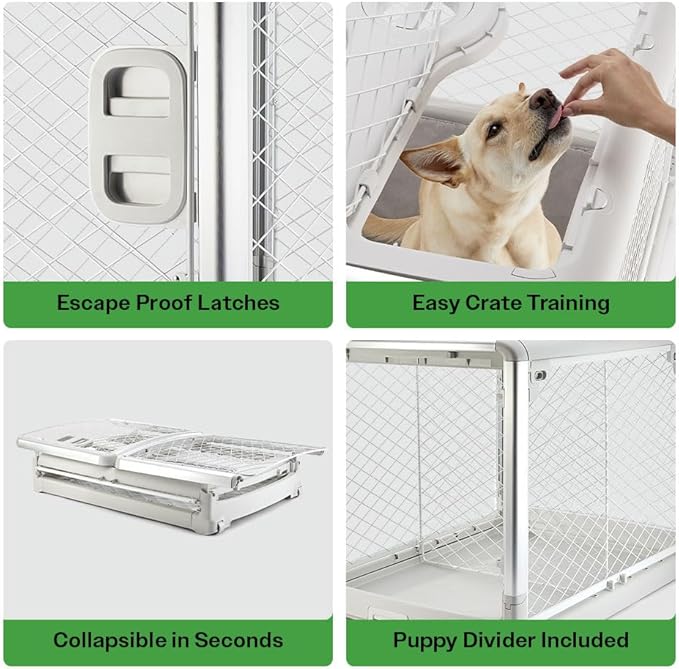DIGGS Revol Collapsible Dog Crate with Wheels - Premium Portable Dog Crate - Safe, Stylish, and Convenient Indoor Kennel (Ash, Intermediate)-PawvioPets