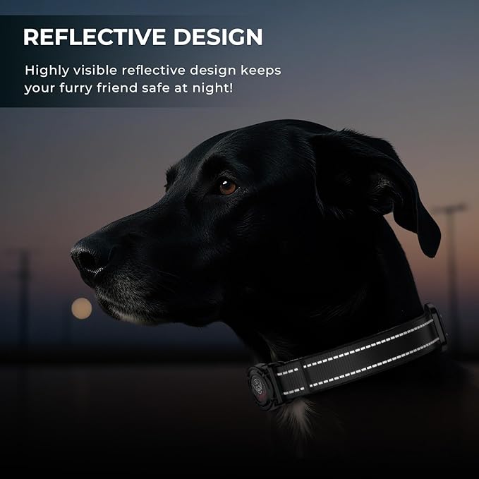 2025 Upgrade Airtag Dog Collar, Reflective Dog Collar with Airtag Holder, IP68 Waterproof| Metal Buckle| Ultra-Durable| Comfortable Padded, GPS Dog Collars for Medium Large Dogs (Black,XL)-PawvioPets