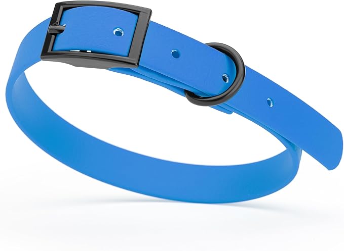 Dogline Biothane Waterproof Dog Collar Strong Coated Nylon Webbing with Black Hardware Odor- Proof for Easy Care Easy to Clean High Performance Fits Small Medium or Large Dogs, Cerulean Blue-PawvioPets