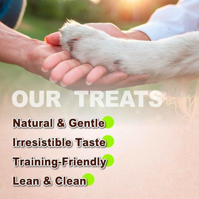 Afreschi Natural Turkey Treats Star Bites –16 oz, Hexagonal Shape, USA-Sourced Trukey, All-Natural, Hypoallergenic, Low-Fat, Healthy & Easily Digestible, Puppy & Training Snack & Small Dogs-PawvioPets