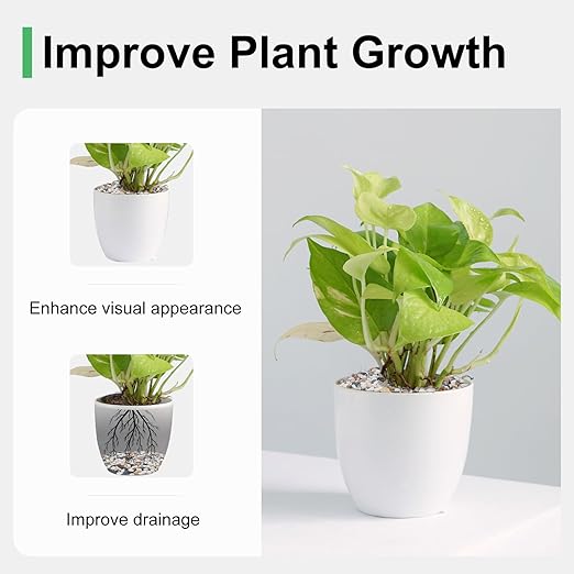 5 lbs Small Rocks for Plants, 1/5 Inch Pebbles for Indoor Plants, Natural Decorative Pea Gravel for Aquarium, Fish Tank, Terrarium, Succulents, Bamboo Plants, Vases, Cactus, Crafts-PawvioPets