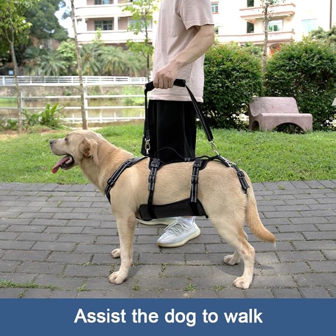 Coodeo Dog Lift Harness, Support & Recovery Sling, Pet Rehabilitation Lifts Vest Adjustable Breathable Straps for Old, Disabled, Joint Injuries, Arthritis, Paralysis Dogs Walk (Black,XL)-PawvioPets
