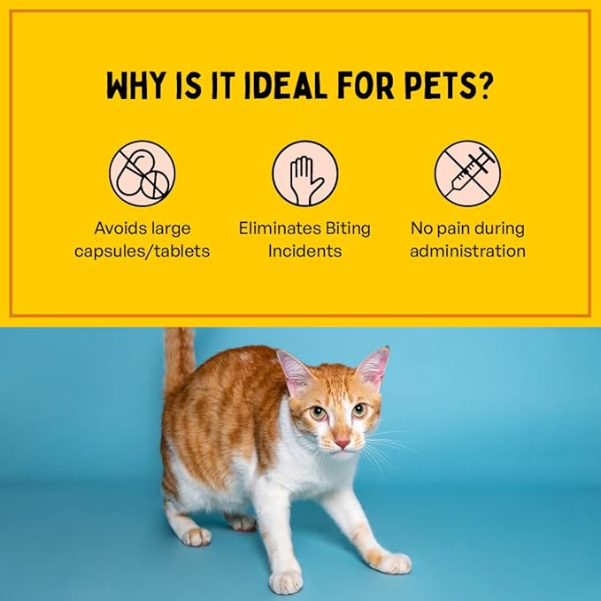 Fresh Breath Oral Strips for Dogs & Cats | Natural Spearmint & Thymol for Easy and Convenient, All-Natural Oral Care (30 Oral Dissolving Strips)-PawvioPets