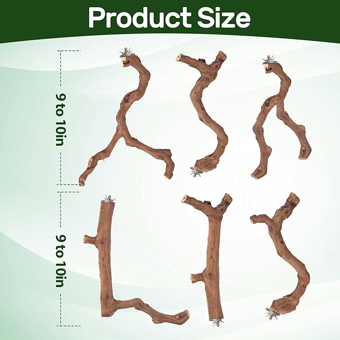 6-Piece Premium Bird Perch Stand with Natural Grape Wood Branch, Paw Grinding Fork, Chewing Stick, Cage Accessories for Parakeets, Budgies, Cockatiels, Finches, Lovebirds-PawvioPets