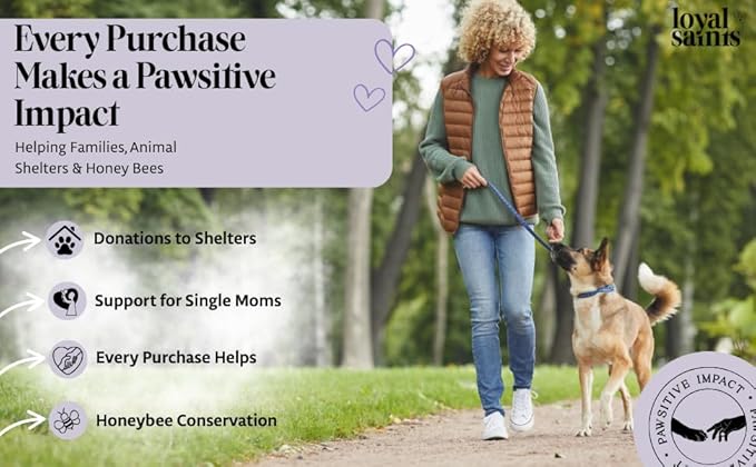 Freeze Dried Raw Dog Food - Premium Chicken Flavor with High Protein & Grain Free Dog Food for Small or Large Breeds and Picky Eaters - Versatile as Meal Topper, Pet Snack & Treats, 14 Oz-PawvioPets