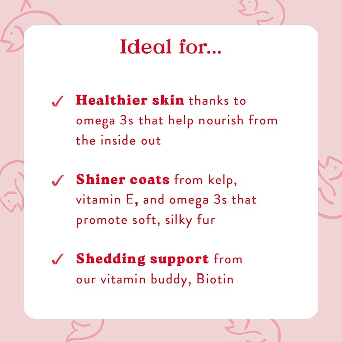 Bocce's Bakery Skin & Coat Supplement for Dogs, Daily Chews Made in The USA with Vitamin E & Essential Fatty Acids, Supports Healthy Skin & Coat, Salmon, 60 ct, Red (DG-SP-SKIN60)-PawvioPets