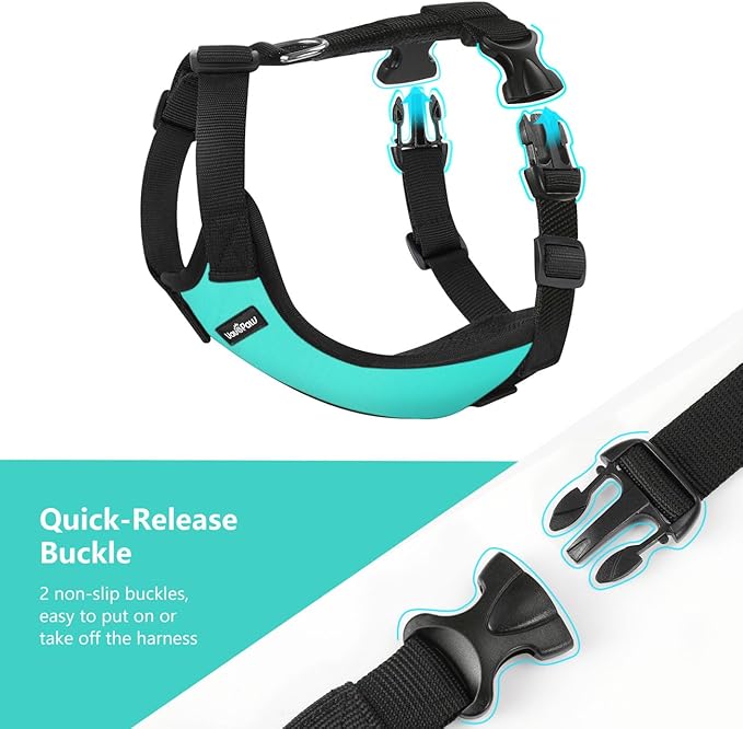 Dog Seat Belt, Safety Vest Dog Car Harness with Adjustable Buckle Dog Seat Belt for Vehicle Nylon Pet Safety Seat Belts Heavy Duty(XXL, Blue)-PawvioPets