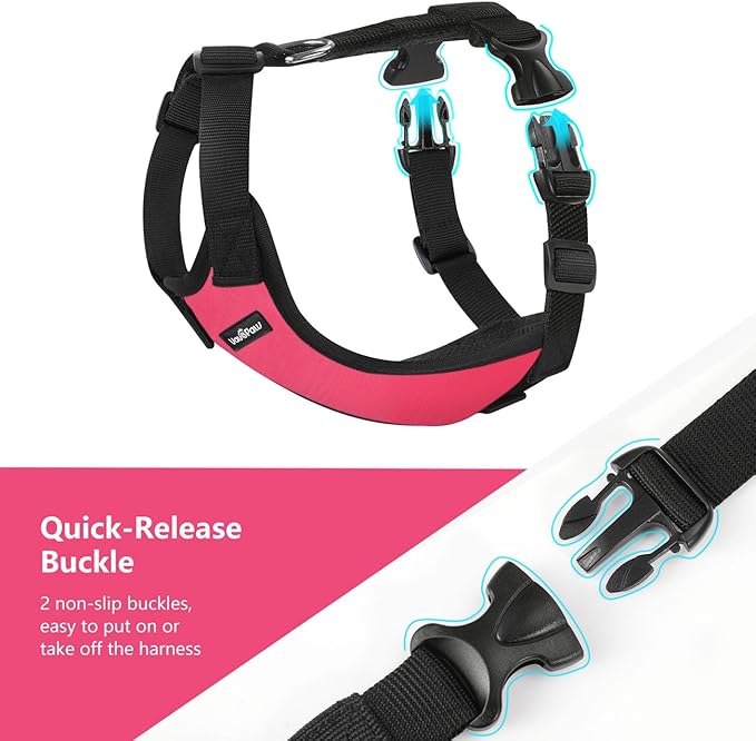 Dog Seat Belt, Safety Vest Dog Car Harness with Adjustable Buckle Dog Seat Belt for Vehicle Nylon Pet Safety Seat Belts Heavy Duty(XXL, Magenta)-PawvioPets