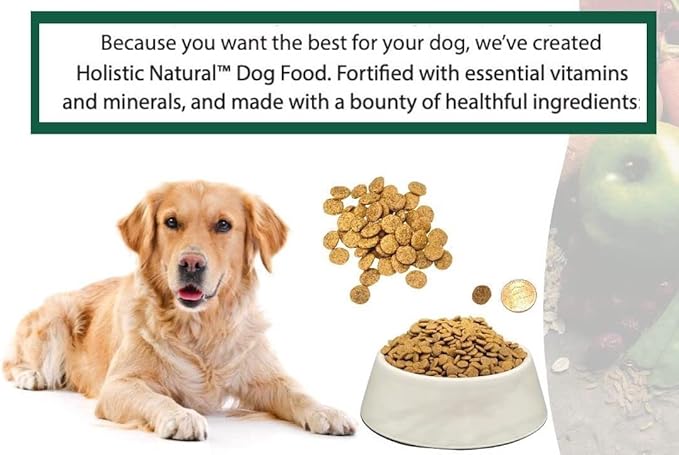 Bench & Field Holistic Natural Adult Dry Dog Food, Chicken Meal and Brown Rice Recipe 12 lb Bag (Pack of 2)-PawvioPets