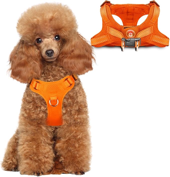 Dog Harness Step in Dog Vest Harness, Reflective Adjustable Puppy No Pull Harness Breathable Soft for Small and Medium Dogs Cats, Orange, XS-PawvioPets
