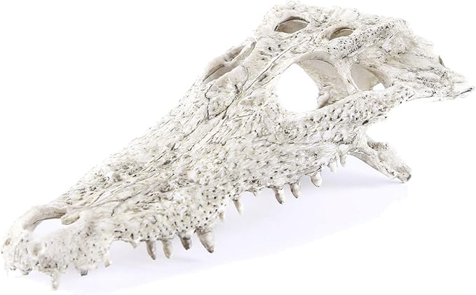 Animal Skull Fish Aquarium Hideout Decorations Cave Dinosaur Reptile Ornament Halloween Décor for Terrarium Large Betta Decor Bones-PawvioPets