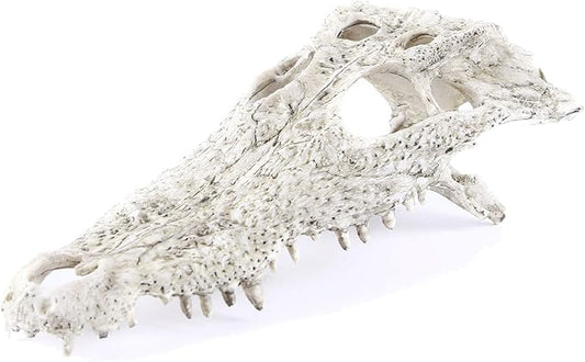 Animal Skull Fish Aquarium Hideout Decorations Cave Dinosaur Reptile Ornament Halloween Décor for Terrarium Large Betta Decor Bones-PawvioPets