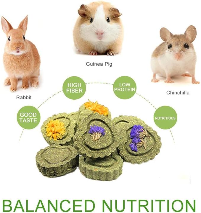 Bunny Chew Toys for Teeth, Natural Pet Chew Toy Hand Made Timothy Hay Cakes for Chinchilla Guinea Pig Hamsters Holland Lop Prairie Dogs Squirrels Gerbils Rabbit Chewing & Molar Teeth, 9.5oz-PawvioPets