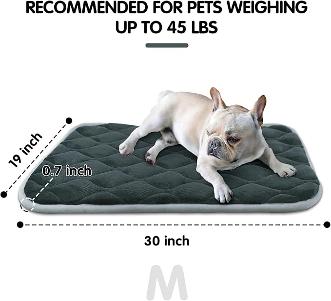 furrybaby Dog Bed Mat Flat Crate Mat with Anti-Slip Bottom Machine Washable Pet Kennel Pad for Dog Sleeping (M 30x19'', Grey Mat)-PawvioPets