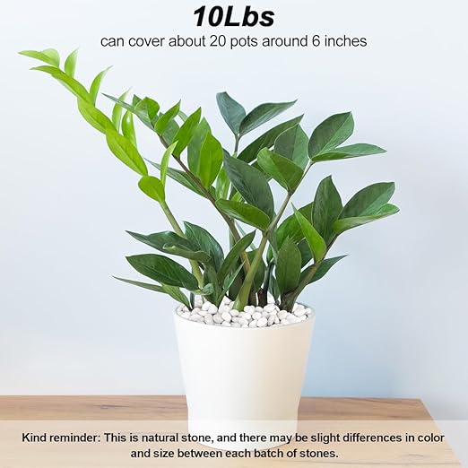 Aquarium Gravel,Landscaping Pebbles, Decorative Ornamental Pebbles Garden,Landscaping Stones Gravel Filler for Home Decoration Flower Bed Fish Tank Plants Vases Succulents (10 Pounds, White)-PawvioPets