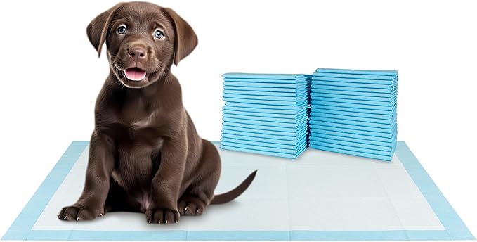 BV XXL Puppy Pads 20 Count 30" x 36" - Leak-Proof Pee Pads for Dogs with 6-Layer Design, Rapid Dry Sheet & Attractant - Dog Pad Extra Large with Odor Control - Perfect for Big Dogs & Indoor Use-PawvioPets