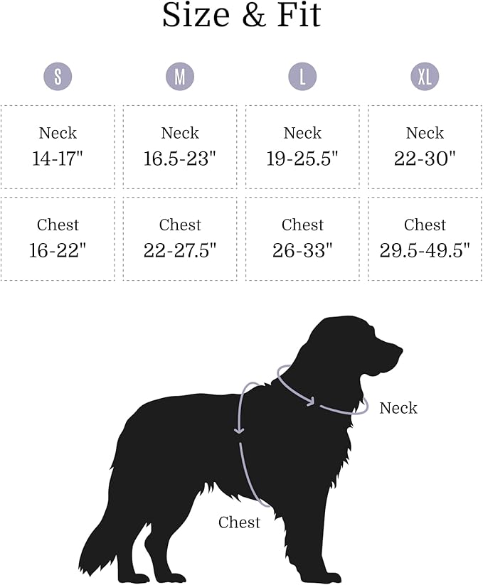 2025 New Edition, Fei & Eve MagEase Dog Harness - 3-Second Magnetic Buckles | 3-Point No-Pull Control | Heavy-Duty 900D Nylon | Dual Safety Handles | Breathable Mesh | Adjustable Fit | Medium, Gray-PawvioPets