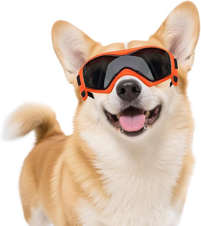 Dog Goggles Dog Sunglasses for Medium Breed UV Protection Windproof with Adjustable Head Straps Chin Straps for Ride Car/Hiking Travel/On Beach-Orange-PawvioPets
