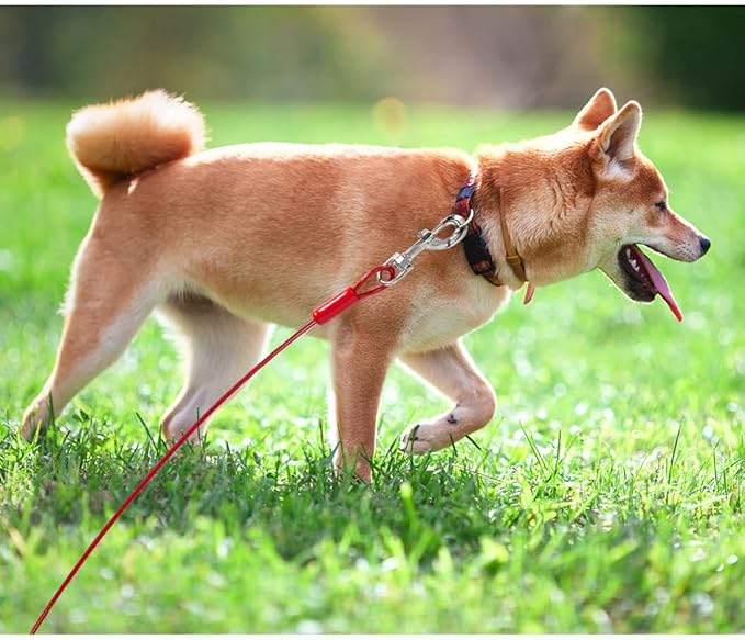 BV Dog Tie Out Cable 30 Feet - Heavy Duty Dog Lead Up to 125 Pounds - Reflective & Rust-Free with Quick Release Swivel Clips & 360° Rotating Clasp - Tangle-Free Dogs Runner for Yard (Red, Single)-PawvioPets