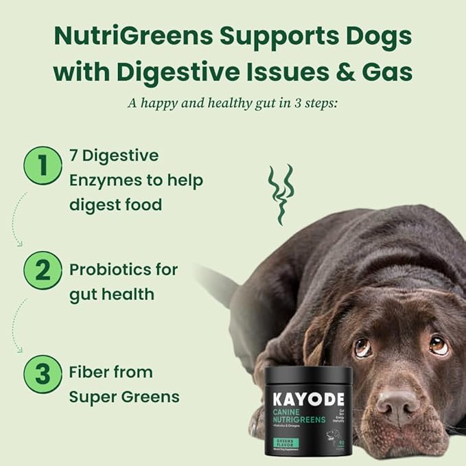 Canine NutriGreens - Natural Dog Vitamins & Probiotics for Dogs. No Messy Powder. Includes Spirulina, Kelp & Antioxidant Berry Mix. 6-in-1 Dog Supplements & Vitamins Chews. Super Greens for Dogs.-PawvioPets