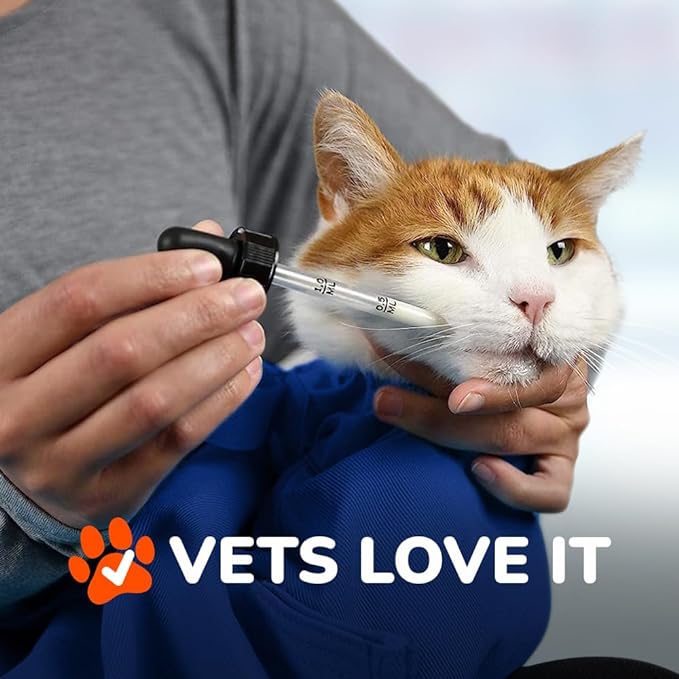 Cozy Comfort Carrier - Small Cobalt Blue Cat Carrier Soft for Grooming, Vet Visits, Medication Administration, Dental Care, Nail Trimming, and Car Travel-PawvioPets